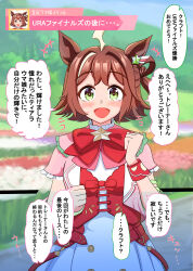 Rule 34 | 1girl, absurdres, ahoge, ai pon, animal ears, blurry, blurry background, blush, breasts, brown hair, clenched hands, commentary request, field, flower, flower field, green eyes, highres, horse ears, horse girl, looking at viewer, medium breasts, medium hair, rhein kraft (umamusume), ribbon, solo, translation request, umamusume