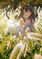 Rule 34 | 1girl, animal ears, black hair, blue eyes, cat ears, cat girl, cat tail, dress, highres, nature, original, potg (piotegu), scenery, solo, tail, white dress