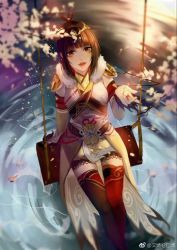 Rule 34 | 1girl, artist request, brown hair, detached sleeves, fish, flower, from above, hair ornament, hand up, hua jianghu zhi bei mo ting, light, looking up, open mouth, ripples, second-party source, sitting, solo, swing set, teeth, two-tone thighhighs, water, wen jing (hua jianghu)