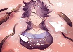 Rule 34 | 1boy, bean mr12, bird, closed eyes, fengxi (the legend of luoxiaohei), flower, hair over one eye, long hair, parted lips, petals, pointy ears, purple hair, solo, luo xiaohei zhanji, torn clothes, upper body, white bird