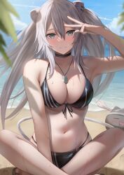 Rule 34 | 1girl, absurdres, animal ears, arm up, beach, bikini, black bikini, blue sky, blurry, breasts, closed mouth, crossed ankles, depth of field, dog tags, grey eyes, grey hair, highres, hololive, indian style, large breasts, leaf, lion ears, lion girl, looking at viewer, navel, ocean, sandals, shishiro botan, sitting, sky, smile, solo focus, ssrb (shishiro botan), stomach, swimsuit, tataki worker, virtual youtuber, w, water, wet