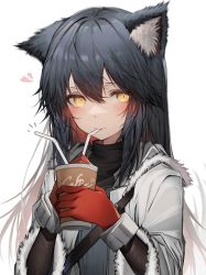 Rule 34 | 1girl, absurdres, animal ear fluff, animal ears, arknights, black hair, black shirt, blush, commentary request, cup, drinking, gloves, hair between eyes, heart, highres, holding, holding cup, jacket, long hair, long sleeves, looking at viewer, open clothes, open jacket, red gloves, revision, shirt, solo, tab head, texas (arknights), texas (winter messenger) (arknights), white jacket, wolf ears, yellow eyes