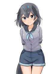 Rule 34 | 1girl, absurdres, alternate costume, arms behind back, black eyes, black shorts, commentary, cowboy shot, grey shirt, hair between eyes, head wings, highres, kemono friends, looking at viewer, shiraha maru, shirt, short shorts, shorts, simple background, sketch, smile, solo, split mouth, superb bird-of-paradise (kemono friends), tail, thigh gap, twitter username, white background, wings