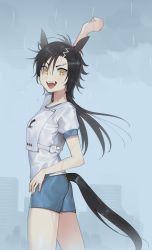 Rule 34 | 1girl, air shakur (umamusume), animal ears, arm up, bare arms, black hair, blue shorts, building, cloud, cloudy sky, commentary request, cowboy shot, eyebrow piercing, from side, hand on own hip, horse ears, horse girl, horse tail, long hair, looking at viewer, open mouth, outdoors, piercing, rain, sharp teeth, shirt, short sleeves, shorts, sky, smile, solo, tail, tan (inka), teeth, umamusume, wet, wet clothes, white shirt, yellow eyes