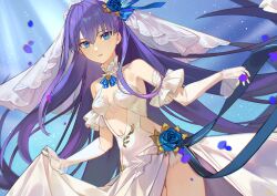Rule 34 | 1girl, absurdres, bare shoulders, blue eyes, blue ribbon, blush, breasts, fate/extra, fate/extra ccc, fate/grand order, fate (series), hair ribbon, highres, jiajiayu, long hair, looking at viewer, meltryllis (fate), purple hair, ribbon, small breasts, solo, very long hair