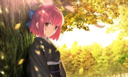 Rule 34 | 1girl, absurdres, blue bow, blurry, blurry background, bow, breasts, brown kimono, closed mouth, dappled sunlight, day, falling leaves, forest, game cg, hair bow, half updo, head tilt, highres, huge filesize, japanese clothes, kimono, kohaku (tsukihime), leaf, leaning back, leaning on object, long sleeves, looking at viewer, medium breasts, nature, obi, obiage, obijime, official art, orange eyes, outdoors, pink hair, sash, short hair, sidelocks, smile, solo, standing, sunlight, takeuchi takashi, tree, tree bark, tree shade, tsukihime, tsukihime (remake), upper body