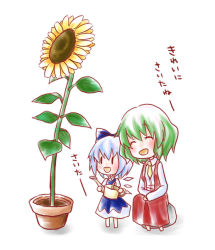 Rule 34 | 2girls, :d, ^ ^, bad id, bad pixiv id, blue dress, blue hair, blush, bow, chibi, cirno, closed eyes, dress, flower, flower pot, green hair, happy, kazami yuuka, kuro (pixiv60110), kuromame (8gou), large bow, multiple girls, necktie, open mouth, plant, potted plant, rock, short hair, simple background, sitting, skirt, skirt set, smile, sunflower, touhou, translated, vest, watering can, white background, wings, | |