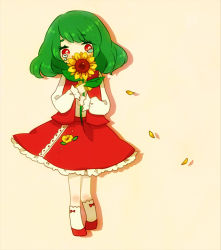 Rule 34 | 1girl, alternate costume, ascot, crying, crying with eyes open, flower, full body, green hair, head tilt, holding, holding flower, kazami yuuka, lelut, long sleeves, petals, red eyes, red footwear, red skirt, red vest, shoes, short hair, simple background, skirt, socks, solo, standing, sunflower, tears, touhou, vest, aged down