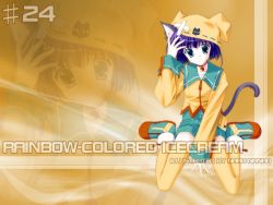 Rule 34 | animal ears, bell, blue hair, hat, nanao naru, sitting, solo, tail, thighhighs, wallpaper