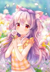 Rule 34 | 1girl, ahoge, animal ear fluff, animal ears, bare arms, bare shoulders, blurry, blurry background, blush, bow, camisole, cat ears, cat girl, cat tail, choker, closed mouth, coa (chroo x), collarbone, commentary request, depth of field, flower, hair between eyes, hair ribbon, hands up, holding, holding flower, long hair, looking at viewer, original, plaid, pleated skirt, purple hair, purple ribbon, red bow, red choker, red eyes, ribbon, skirt, smile, solo, tail, tail bow, tail ornament, tail raised, two side up, very long hair, water drop, white flower, white skirt