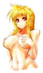 Rule 34 | 00s, 1girl, blonde hair, breast hold, breasts, covering privates, covering breasts, fate testarossa, huge breasts, large breasts, lowres, lyrical nanoha, mahou shoujo lyrical nanoha, mahou shoujo lyrical nanoha strikers, nekomamire, nude, red eyes, simple background, solo