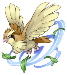 Rule 34 | commentary request, flying, full body, gen 1 pokemon, leaf, looking at viewer, no humans, pearl7, pidgey, pokemon, pokemon (creature), simple background, solo, spread wings, white background