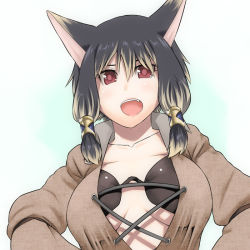 Rule 34 | 10s, animal ears, bad id, bad pixiv id, bra, breasts, cat ears, fang, final fantasy, final fantasy xiv, lace-up, lingerie, looking down, miqo&#039;te, open mouth, red eyes, solo, sparkle, tsukudani (coke-buta), twintails, underwear, warrior of light (ff14)