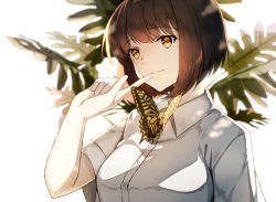 Rule 34 | 1girl, akami fumio, animal, bad id, bad pixiv id, breasts, brown eyes, brown hair, bug, butterfly, collared shirt, commentary request, dress shirt, finger to mouth, insect, light brown hair, medium breasts, original, shirt, short hair, short sleeves, simple background, solo, upper body, white background, white shirt