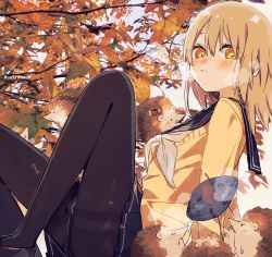 Rule 34 | 1girl, autumn leaves, black footwear, black sailor collar, black skirt, blush, commentary request, day, eyebrows hidden by hair, feet out of frame, food, hair between eyes, hedgehog, highres, knees up, leaf, long hair, looking at viewer, maple leaf, mole, mole under eye, neckerchief, orange eyes, original, outdoors, pantyhose, parted lips, pleated skirt, roasted sweet potato, sailor collar, school uniform, serafuku, signature, skirt, sofra, solo, steam, sweater, sweet potato, thighband pantyhose, twitter username, white neckerchief, yellow sweater