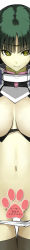 Rule 34 | 1girl, banpresto, breasts, censored, cleavage, green hair, highres, large breasts, long image, nakabayashi reimei, ouka nagisa, solo, super robot wars, tall image, thighhighs, yellow eyes