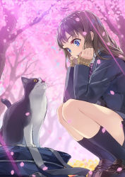 Rule 34 | 1girl, bag, blazer, blue eyes, brown hair, cat, cherry blossoms, commentary request, jacket, long hair, open mouth, original, petals, school uniform, smile, solo, squatting, tree, yahako