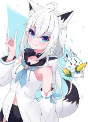 Rule 34 | 1girl, ahoge, animal ear fluff, animal ears, black shorts, blue neckerchief, blush, braid, breasts, collar, commentary request, conifer2525, corn, detached sleeves, food, fox ears, fox girl, fox shadow puppet, fox tail, green eyes, hair between eyes, highres, holding, holding food, hololive, hood, hoodie, long hair, looking at viewer, midriff, navel, neckerchief, shirakami fubuki, shirakami fubuki (1st costume), short shorts, shorts, sidelocks, single braid, small breasts, smile, sukonbu (shirakami fubuki), tail, virtual youtuber, white hair, white hoodie