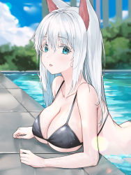 Rule 34 | 1girl, animal ears, arched back, bare arms, bare shoulders, bikini, black bikini, blue eyes, blurry, breast rest, breasts, cat ears, cleavage, collarbone, day, depth of field, fang, halterneck, highres, large breasts, long hair, looking at viewer, michelan, open mouth, original, outdoors, pool, poolside, solo, string bikini, swimsuit, water, wet, white hair