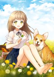 Rule 34 | 1girl, :o, bad id, bad pixiv id, barefoot, black skirt, blue sky, bread, breasts, brown hair, cloud, clover, dandelion, day, detached collar, dog, field, flower, food, four-leaf clover, green eyes, knees up, long hair, looking at viewer, mameris2, medium breasts, outdoors, picnic basket, see-through, see-through sleeves, sitting, skirt, sky, solo