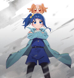 Rule 34 | 1girl, absurdres, animal, animal on head, aqua coat, black pantyhose, blue eyes, blue hair, blue jumpsuit, border, bow, chinese commentary, closed mouth, coat, commentary request, crossed arms, cut bangs, frown, hair bow, highres, hirogaru sky! precure, in-franchise crossover, inukai komugi, inukai komugi (dog), jumpsuit, legs apart, looking at viewer, medium hair, on head, open clothes, open coat, pantyhose, precure, short jumpsuit, side ponytail, single sidelock, sipeiren, smoke, solo, sora harewataru, standing, wonderful precure!, yellow border
