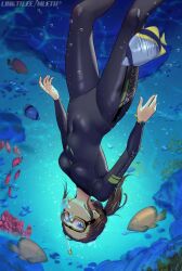 Rule 34 | 1girl, black wetsuit, blue eyes, bodysuit, breasts, brooke (mleth), brown hair, covered navel, diving mask, diving suit, fish, goggles, long hair, mleth, original, ponytail, small breasts, snorkel, solo, underwater, upside-down, watch, wetsuit, wristwatch
