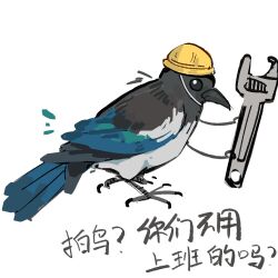 Rule 34 | animal focus, bird, chinese commentary, chinese text, commentary request, hard hat, hat, helmet, magpie, no humans, original, simple background, solo, translation request, white background, wrench, yellow hat, zhanghemankong