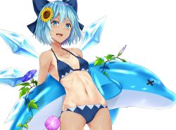Rule 34 | 1girl, arched back, bare shoulders, bikini, blue bikini, blue bow, blue eyes, blue hair, blue wings, bow, breasts, cirno, collarbone, cowboy shot, flower, gluteal fold, hair between eyes, hair bow, hair flower, hair ornament, halterneck, ice, ice wings, inflatable dolphin, inflatable toy, looking at viewer, morning glory, nabeshima tetsuhiro, navel, one-piece tan, ribs, simple background, skinny, small breasts, smile, solo, sunflower, sunflower hair ornament, swimsuit, tan, tanline, tanned cirno, touhou, white background, wings