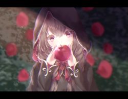 Rule 34 | 1girl, apple, bad id, bad pixiv id, black capelet, blurry, braid, breasts, brown hair, capelet, depth of field, food, fruit, highres, hood, hood up, hooded capelet, kantai collection, large breasts, letterboxed, long hair, looking at viewer, red eyes, sa-ya2, shinshuu maru (kancolle), solo, twin braids, upper body