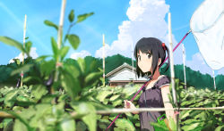 Rule 34 | 1girl, bad id, bad pixiv id, black eyes, black hair, blurry, butterfly net, cloud, day, depth of field, domo1220, dress, forest, garden, hair bobbles, hair ornament, hand net, house, looking at viewer, nature, original, short hair, sky, solo, twintails