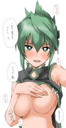 Rule 34 | 1girl, black dress, blush, breasts, china dress, chinese clothes, covering nipples, covering privates, dress, elf (stroll in the woods), green eyes, green hair, highres, large breasts, looking at viewer, open mouth, shaman king, short hair, simple background, smile, solo, tao jun, translation request, white background