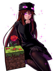 Rule 34 | 1girl, absurdres, ander (at2.), black skirt, blush, brown hair, closed mouth, destinyplayer1, enderman, flower, grass block, hat, highres, long hair, long sleeves, looking at viewer, minecraft, pantyhose, pleated skirt, purple eyes, red flower, red rose, rose, skirt, smile, solo, very long hair