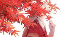 Rule 34 | 1boy, absurdres, animal ears, autumn leaves, bead necklace, beads, branch, covered face, dog ears, from side, hand up, highres, holding, holding leaf, inuyasha, inuyasha (character), japanese clothes, jewelry, leaf, long hair, looking at hand, looking down, male focus, maple leaf, necklace, red theme, sidelocks, simple background, solo, upper body, white background, white hair, yuigacyako