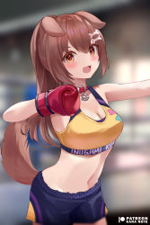 Rule 34 | 1girl, :d, animal ears, bare arms, blurry, blurry background, blush, bone hair ornament, boxing gloves, breasts, brown eyes, brown hair, collar, cowboy shot, depth of field, dog ears, dog girl, dog tail, hair ornament, hololive, inugami korone, long hair, looking at viewer, medium breasts, midriff, mujinbensin, navel, open mouth, red collar, revision, short shorts, shorts, smile, solo, sports bra, standing, tail, virtual youtuber, yellow sports bra