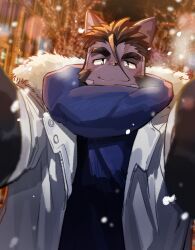 Rule 34 | 1boy, animal ears, bara, beard, black gloves, blue scarf, blush, cat boy, cat ears, commentary, facial hair, furry, furry male, gloves, highres, jacket, live a hero, looking at viewer, male focus, scarf, smile, snow, symbol-only commentary, syukapong, thick eyebrows, tsuneaki (live a hero), upper body, white jacket