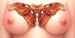 Rule 34 | 1girl, animal, bad id, bad pixiv id, breast focus, breasts, bug, close-up, highres, bug, medium breasts, moth, nipples, original, seventhheaven, solo, upper body