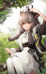 Rule 34 | 1girl, absurdres, animal, animal ears, animal on head, animal request, arknights, arm up, black jacket, branch, brown eyes, brown hair, closed mouth, commentary request, day, dress, feet out of frame, hakuto kinkinko, highres, honeyberry (arknights), jacket, long hair, long sleeves, multicolored hair, on head, open clothes, open jacket, outdoors, short sleeves, sitting, smile, solo, streaked hair, thighhighs, white dress, white hair, white thighhighs