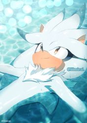 Rule 34 | 1boy, afloat, animal nose, bad id, bad pixiv id, closed mouth, furry, furry male, iiimirai, light smile, male focus, silver the hedgehog, solo, sonic (series), twitter username, water