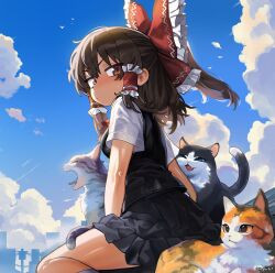 Rule 34 | 1girl, absurdres, artist name, black skirt, black vest, blue sky, bow, brown eyes, brown hair, cat, closed eyes, cloud, commentary, english commentary, floating hair, frilled bow, frilled hair tubes, frills, from side, hair tubes, hakurei reimu, hepari, highres, long hair, looking at viewer, looking to the side, outdoors, pleated skirt, red bow, school uniform, shirt, sitting, skirt, sky, sleeveless, sleeveless shirt, socks, touhou, vest, white shirt, white socks