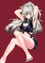 Rule 34 | 1girl, absurdres, animal ear fluff, animal ears, arknights, armpits, arms behind head, arms up, bare legs, bare shoulders, barefoot, black nails, black scarf, black shorts, breasts, cat ears, cho-genelu, cleavage, commentary, crop top, hair between eyes, hair tie in mouth, highres, long hair, medium breasts, midriff, mouth hold, nail polish, red background, scarf, schwarz (arknights), short shorts, shorts, silver hair, simple background, sitting, sleeveless, solo, stomach, thighs, toenail polish, toenails, yellow eyes