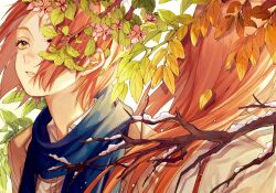 Rule 34 | 2girls, autumn, autumn leaves, blue scarf, branch, brown hair, collared shirt, cover, cover page, facing away, falling leaves, falling petals, fantasy, floating hair, flower, gr 7, hair over one eye, highres, leaf, looking up, multiple girls, nature, no earrings, novel cover, one eye covered, original, petals, pink flower, portrait, scarf, seasons, shirt, short hair, side-by-side, simple background, snow, spring (season), summer, sunlight, white background, winter, yellow eyes