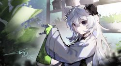 Rule 34 | 1girl, absurdres, ahoge, arknights, bottle, bun cover, dated, double bun, gloves, green gloves, greenhouse, grey hair, hair between eyes, hair bun, highres, holding, holding bottle, indoors, jacket, long sleeves, looking at viewer, luan teng, mulberry (arknights), mulberry (plant crude drug) (arknights), official alternate costume, open mouth, plant, purple eyes, shelf, signature, solo, spray bottle, upper body, white jacket, wide sleeves