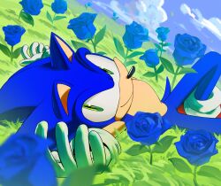 Rule 34 | 1boy, blue flower, blue rose, chaosrice, cloud, flower, gloves, grass, green eyes, hedgehog, highres, looking at viewer, male focus, on grass, outdoors, rose, sky, smile, sonic (series), sonic the hedgehog, tail, white gloves