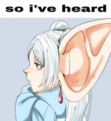 1girl absurdres artist_name blue_scarf closed_mouth earrings elf english_text floating_earring frieren green_eyes grey_hair highres huge_ears jewelry large_ears long_hair meme pastepiphany pointy_ears profile scarf solo sousou_no_frieren twintails