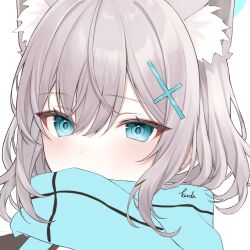 Rule 34 | 1girl, alternate eye color, animal ear fluff, animal ears, black shirt, blue archive, blue eyes, blue scarf, blush, covered mouth, cross hair ornament, eyes visible through hair, grey hair, hair between eyes, hair ornament, highres, kanda (kanda 0119), looking at viewer, medium hair, portrait, scarf, shiroko (blue archive), shirt, sidelocks, signature, simple background, solo, white background, wolf ears