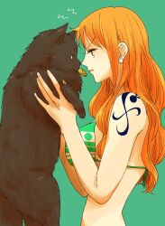 Rule 34 | 1girl, animal, bare arms, bare shoulders, bikini, bikini top only, black cat, black fur, breasts, cat, closed mouth, commentary request, earrings, from side, green background, green bikini, highres, holding, holding animal, jewelry, large breasts, long hair, looking at another, nami (one piece), namisan sukida, one piece, orange hair, pearl earrings, profile, serious, shoulder tattoo, simple background, single sidelock, swimsuit, tattoo, upper body, wavy hair