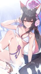 Rule 34 | 1girl, animal ears, arm support, artist name, ass, bikini, black hair, blue archive, blush, breasts, collarbone, colored inner hair, commentary request, flower, fox ears, fox girl, fox tail, grin, hair between eyes, hair flower, hair ornament, halo, highres, knee up, large breasts, leg ribbon, long hair, looking at viewer, multicolored hair, official alternate costume, ponytail, purple halo, red hair, revision, ribbon, sandals, sitting, smile, solo, swimsuit, tail, thigh ribbon, toenails, toes, twitter username, two-tone hair, wakamo (blue archive), wakamo (swimsuit) (blue archive), white bikini, yellow eyes, yellowpaint.
