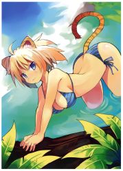 Rule 34 | 1girl, absurdres, ahoge, animal ears, animal print, arched back, bare shoulders, bent over, bikini, blonde hair, blue bikini, blue eyes, breasts, butt crack, cleavage, dutch angle, highres, huge filesize, large breasts, light smile, looking at viewer, original, outstretched arms, scan, shibano kaito, short hair, side-tie bikini bottom, solo, string bikini, swimsuit, tail, tiger ears, tiger print, tiger tail, wading, water