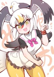 Rule 34 | 1girl, :3, bird, bird girl, bird tail, bird wings, black-tailed gull (kemono friends), black hair, blonde hair, blush, bow, bowtie, breasts, cat day, dress, grey hair, hair between eyes, head wings, highres, kemono friends, kemono friends 3, large breasts, long hair, looking at viewer, multicolored hair, open mouth, pantyhose, paw pose, sailor dress, seagull, short sleeves, smile, solo, tail, tanaka kusao, white hair, wings, yellow eyes, yellow pantyhose