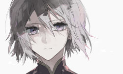 Rule 34 | 1boy, closed mouth, ebanoniwa, expressionless, fate/grand order, fate (series), prince of lan ling (fate), grey hair, hair between eyes, looking at viewer, male focus, medium hair, portrait, purple eyes, simple background, solo, white background
